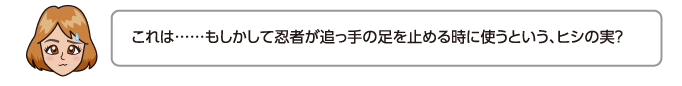 これは……もしかして忍者が追っ手の足を止める時に使うという、ヒシの実？