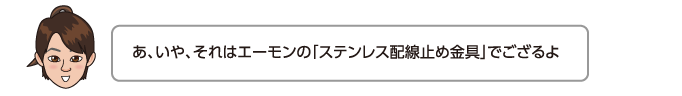 あ、いや、それはエーモンの「ステンレス配線留め金具」でござるよ