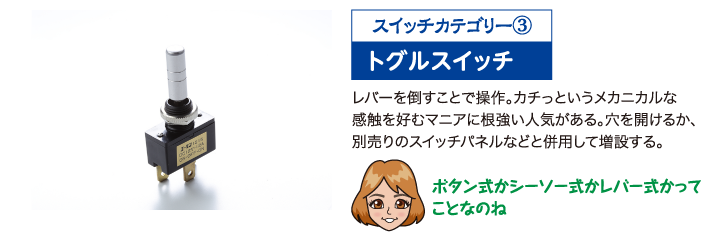 レバーを倒すことで操作。カチっというメカニカルな感触を好むマニアに根強い人気がある。穴を開けるか、別売りのスイッチパネルなどと併用して増設する。